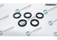 Junta, tamiz de aceite