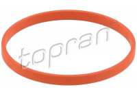 Junta, carcasa del colector de admisión