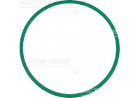 Junta, colector de admisión 40-77586-00 Viktor Reinz