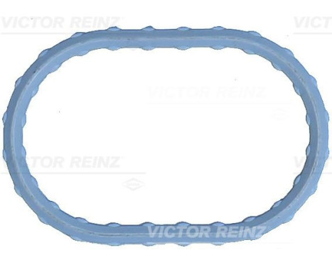Junta, colector de admisión 71-17498-00 Viktor Reinz
