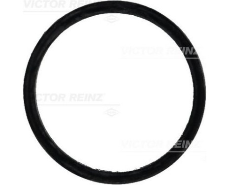 Junta, colector de admisión 71-31647-00 Viktor Reinz