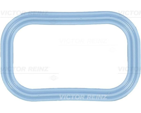 Junta, colector de admisión 71-35539-00 Viktor Reinz