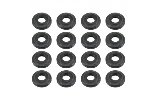 Cubierta de goma del conjunto de representantes 24323 FEBI