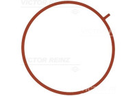 Junta, colector de admisión 71-10756-00 Viktor Reinz