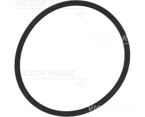 Junta, colector de admisión 71-34204-00 Viktor Reinz
