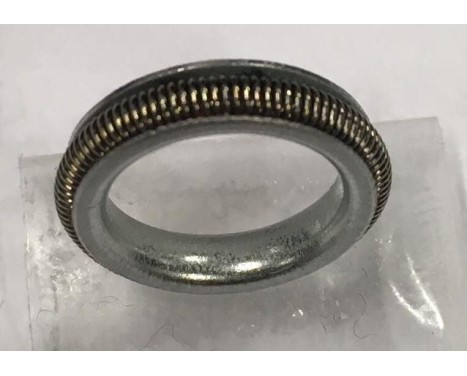 Anillo de sellado KK5742 Payen