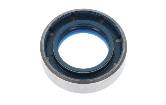 Anillo de sellado, Imagen 3