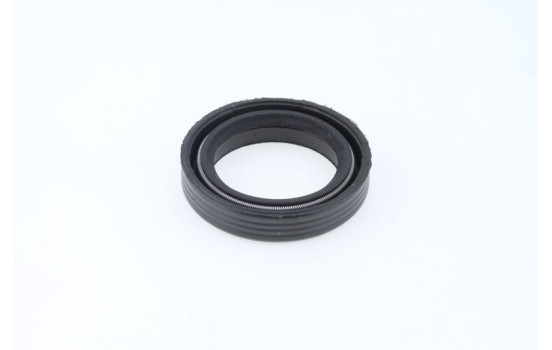 Anillo de sellado, Imagen 2