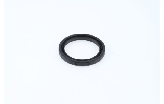 Anillo de sellado, Imagen 2