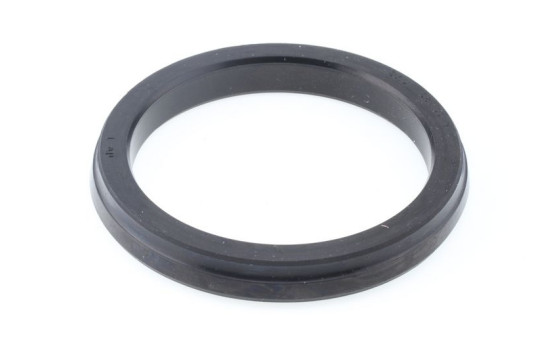 Anillo de sellado, Imagen 2