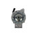 Dinamo 135.804.070.086 PlusLine