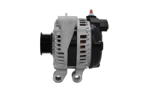 Dinamo 455.528.150.050 PlusLine, Imagen 2