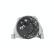 Dinamo 8EL 012 430-891 Hella, Miniatura 3