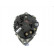 Dinamo Renault 80A 575.524.080.000 PlusLine, Miniatura 5