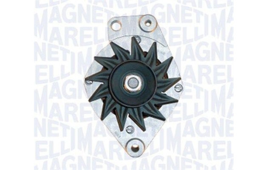 Dinamo, Imagen 2