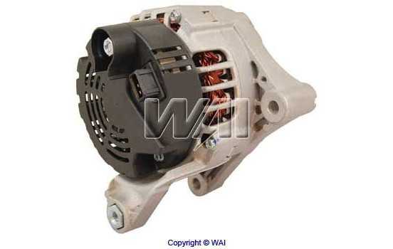 Dinamo, Imagen 2