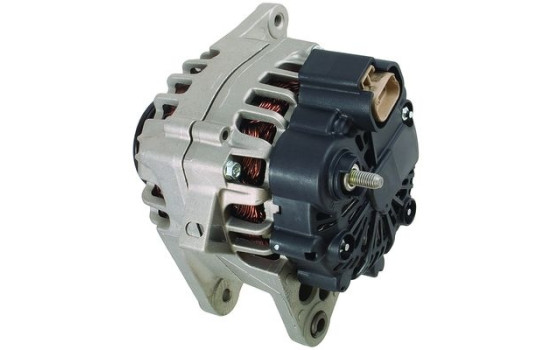 Dinamo, Imagen 3