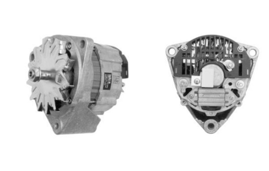 Dinamo, Imagen 3