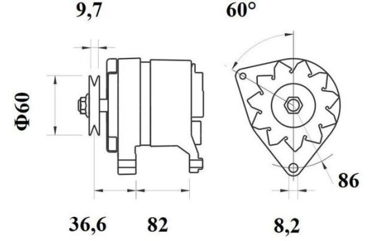 Dinamo, Imagen 3