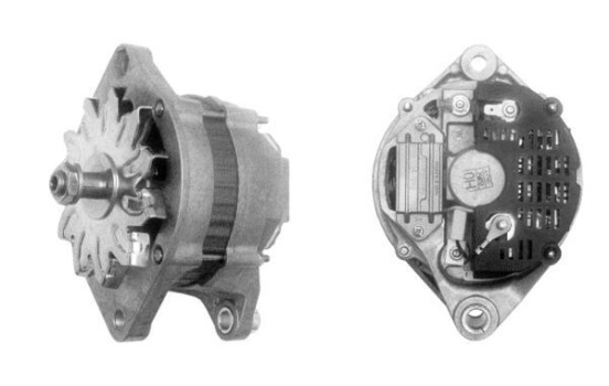 Dinamo, Imagen 3