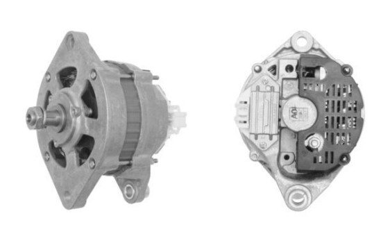 Dinamo, Imagen 3