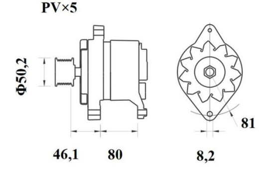 Dinamo, Imagen 2
