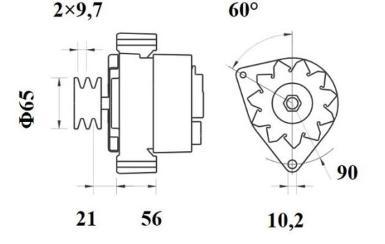 Dinamo, Imagen 2