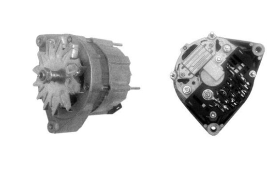 Dinamo, Imagen 3