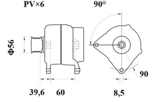 Dinamo, Imagen 2
