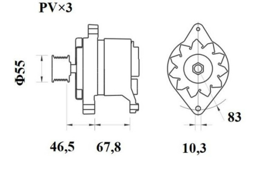 Dinamo, Imagen 2