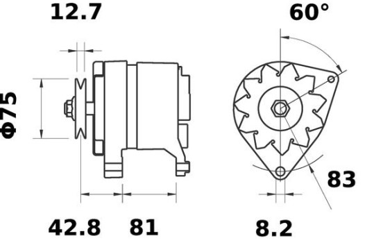 Dinamo, Imagen 2