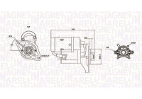 Motor de arranque / Arranque