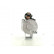 Motor de arranque Chrysler 2,2 kw, Miniatura 2