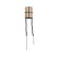 Anillo colector, generador