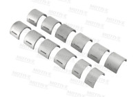 Cojinetes del árbol de levas