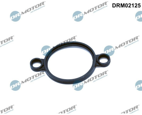 Junta, elemento de control (eje excéntrico)