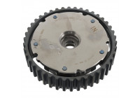 Ajustador del árbol de levas