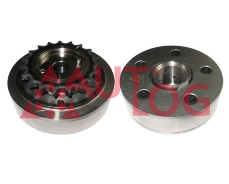 Ajustador del árbol de levas