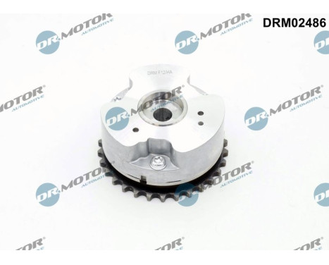 Ajustador del árbol de levas