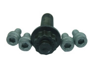 Juego de tornillos para polea de árbol de levas