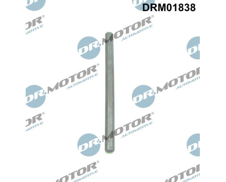 Eje de transmisión, bomba de aceite