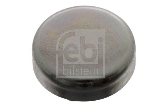 tapón de escarcha, Imagen 2