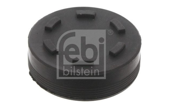 tapón de escarcha, Imagen 2