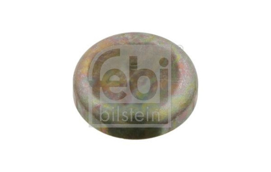 tapón de escarcha, Imagen 2