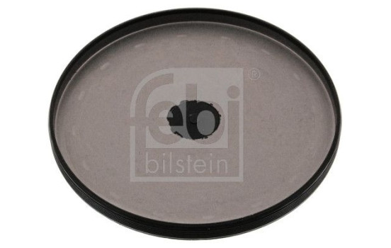 tapón de escarcha, Imagen 2