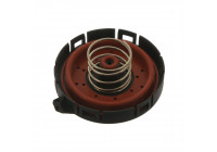 Válvula, respiradero de la carcasa del árbol de levas