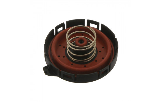 Válvula, respiradero de la carcasa del árbol de levas