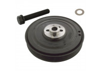 Juego de correas de polea