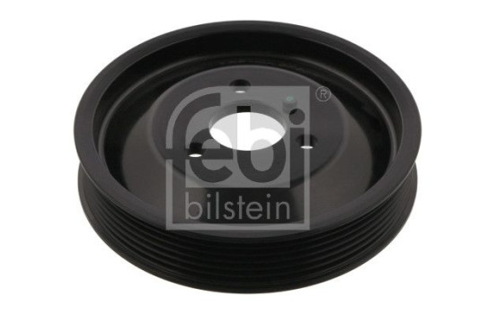 Polea, servobomba, Imagen 2