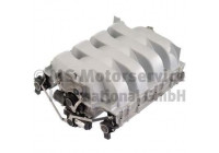 Colector de admisión